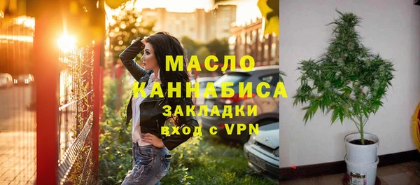 индика Богданович