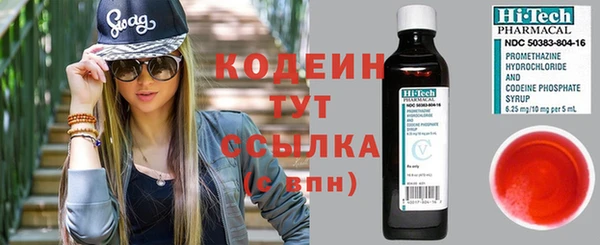 индика Богданович