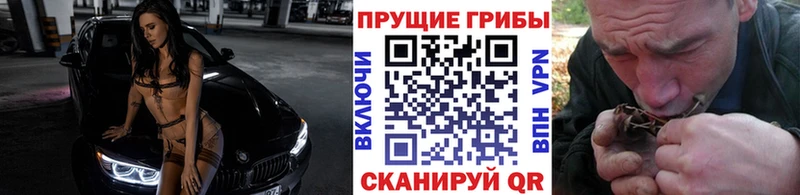 omg зеркало  где можно купить   Киржач  Галлюциногенные грибы MAGIC MUSHROOMS 